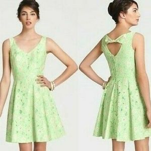 Lilly Pulitzer Freja New Green Pique Two Tone Lace Fit Flare Dress